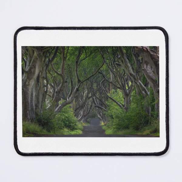 Item preview, The Dark Hedges designed and sold by Sim0nsPh0t0s.