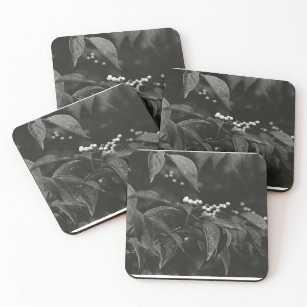 Item preview, B&W Film Photography:  Fall Berries designed and sold by hollystutz.