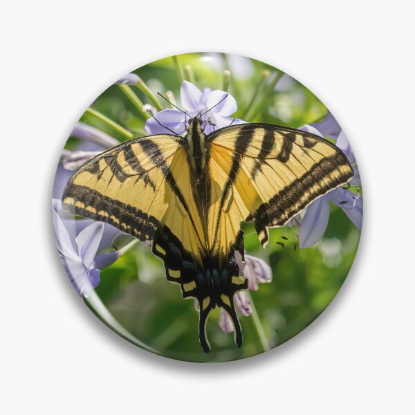 Item preview, Swallowtail Butterfly designed and sold by CarolM.