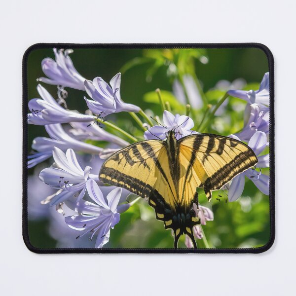 Item preview, Swallowtail Butterfly designed and sold by CarolM.