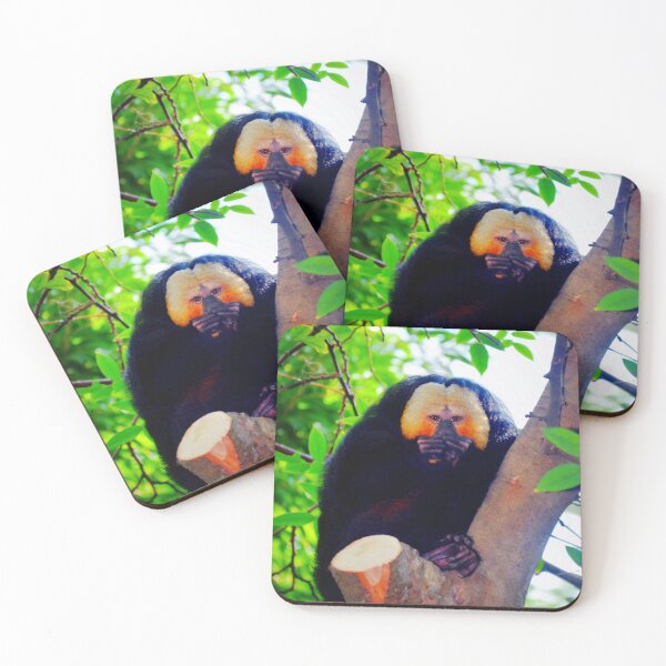 Item preview, White Saki Monkey. designed and sold by Savannah Gibbs.