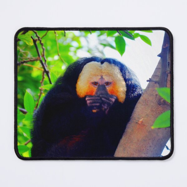 Item preview, White Saki Monkey. designed and sold by Savannah Gibbs.