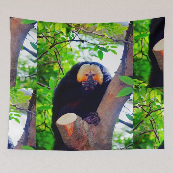 Item preview, White Saki Monkey. designed and sold by Savannah Gibbs.