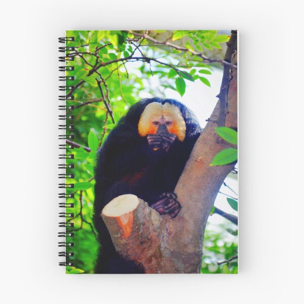 Item preview, White Saki Monkey. designed and sold by Savannah Gibbs.