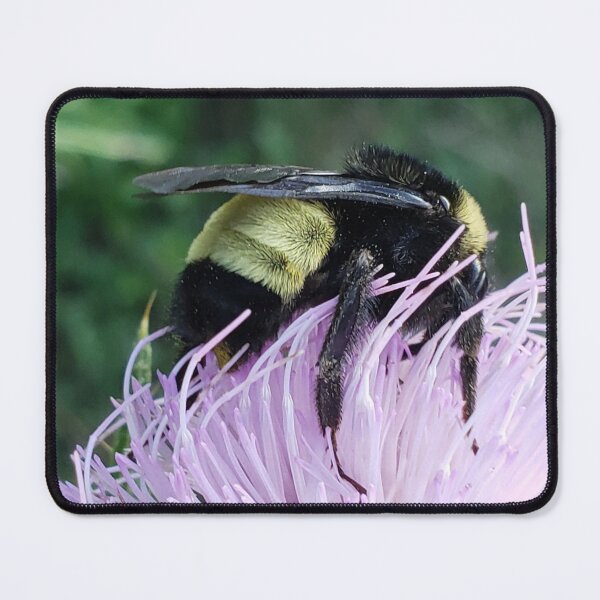Item preview, American Bumblebee  designed and sold by GardenOfPeace.