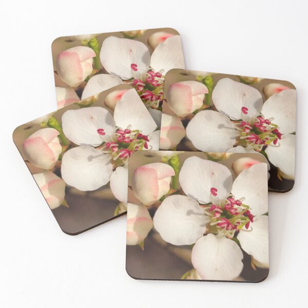 Item preview, Apple Blossom designed and sold by Petthecatshop.