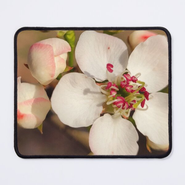 Item preview, Apple Blossom designed and sold by Petthecatshop.