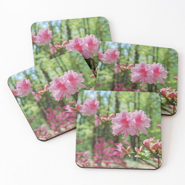 Item preview, Pink Azaleas at the National Arboretum designed and sold by SoelleBloom.