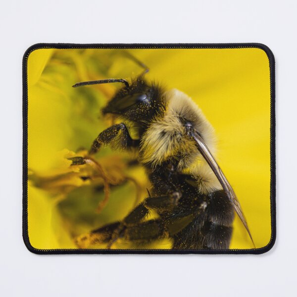 Item preview, Bee on Yellow Flower designed and sold by SkyeNotions.