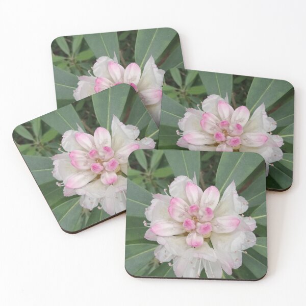 Item preview, Native TN Rhododendron Blooms designed and sold by ssmathers.