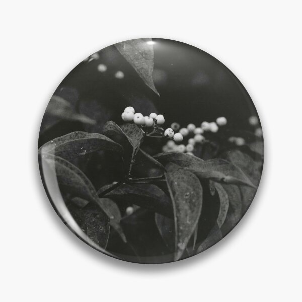 Item preview, B&W Film Photography:  Fall Berries designed and sold by hollystutz.