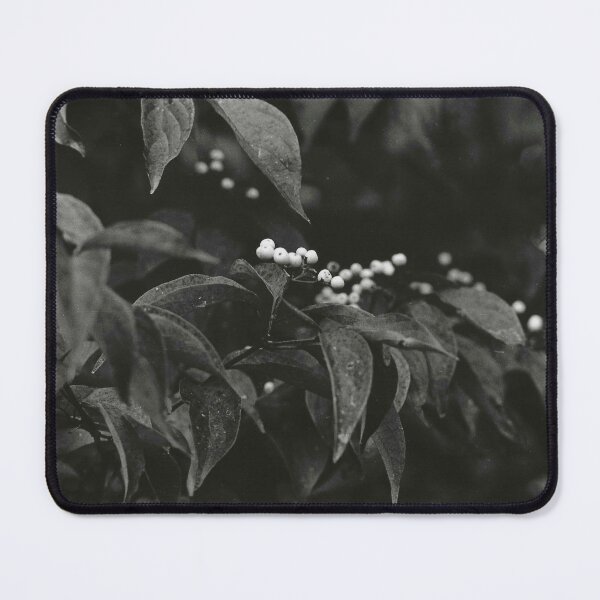 Item preview, B&W Film Photography:  Fall Berries designed and sold by hollystutz.