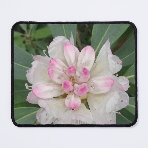 Item preview, Native TN Rhododendron Blooms designed and sold by ssmathers.