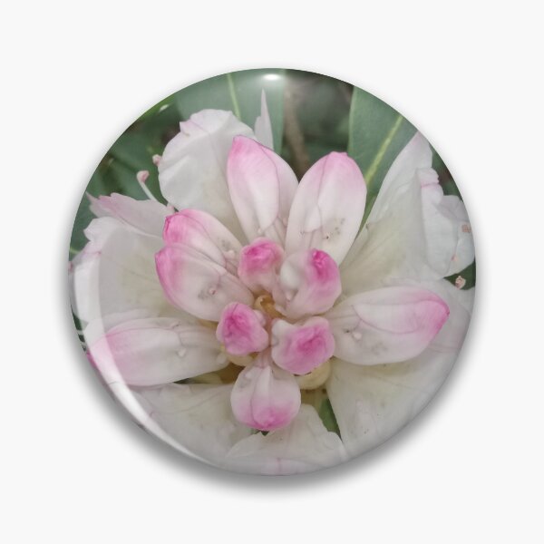 Item preview, Native TN Rhododendron Blooms designed and sold by ssmathers.