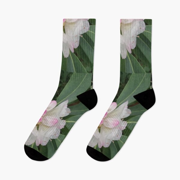 Item preview, Native TN Rhododendron Blooms designed and sold by ssmathers.