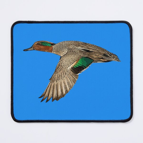 Item preview, Green Winged Teal Color Design  designed and sold by designsasstultd.