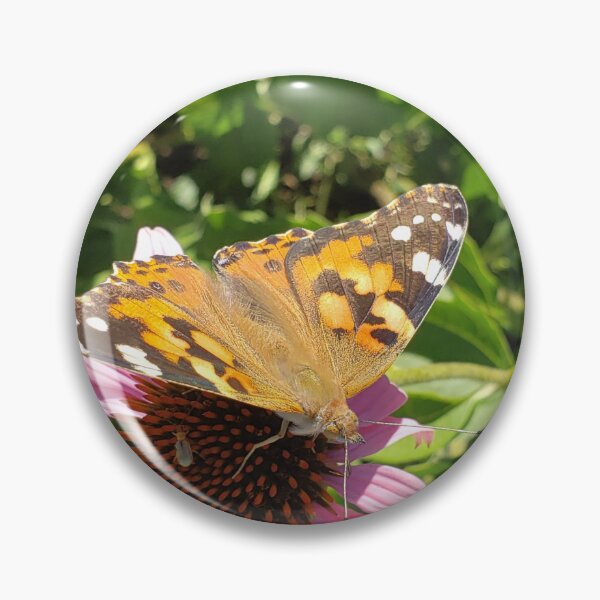 Item preview, Painted Lady on Coneflower  designed and sold by GardenOfPeace.