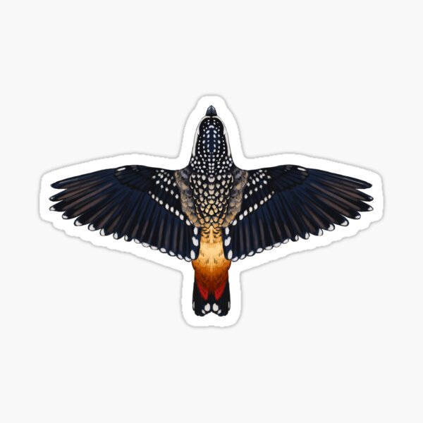 Item preview, Spotted Pardalote - Australian Bird designed and sold by Samuel Hardidge.
