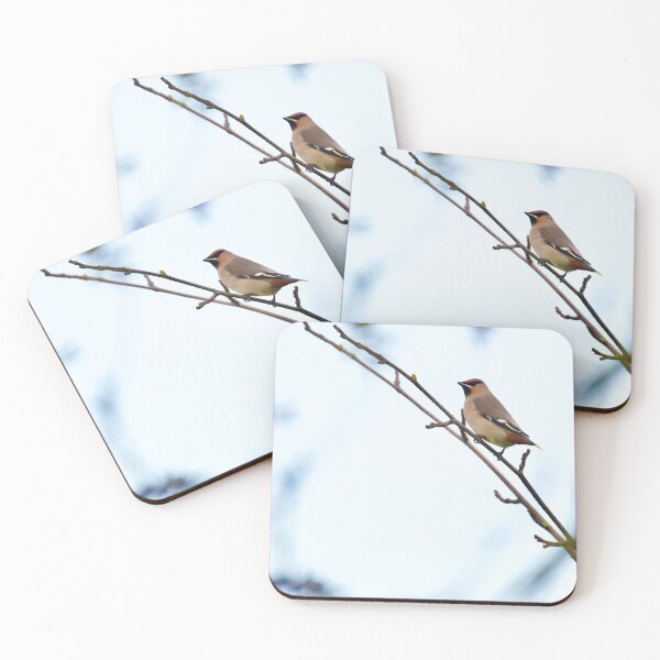 Item preview, Waxwing  designed and sold by jimmyboysnapz.
