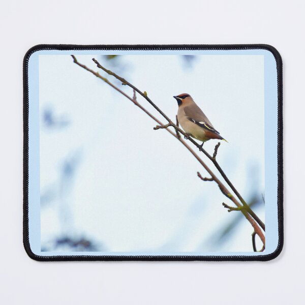 Item preview, Waxwing designed and sold by jimmyboysnapz.