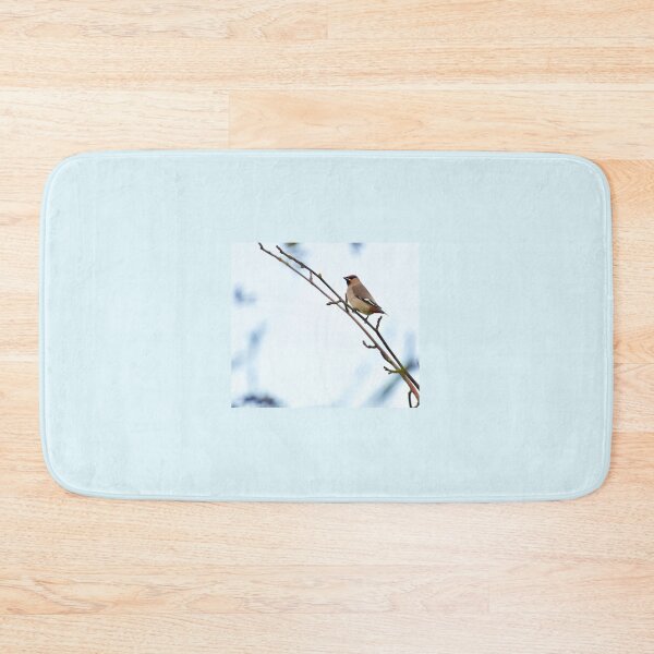 Item preview, Waxwing  designed and sold by jimmyboysnapz.