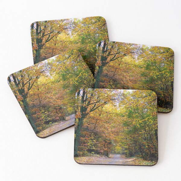 Item preview, Forest in autumn designed and sold by ART-SUNRISE.