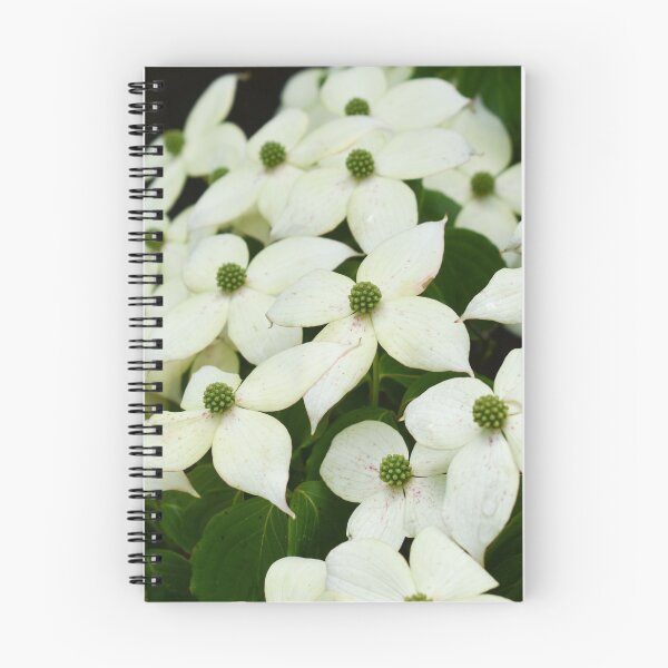 Item preview, Dogwood Blossoms designed and sold by okomedesign.