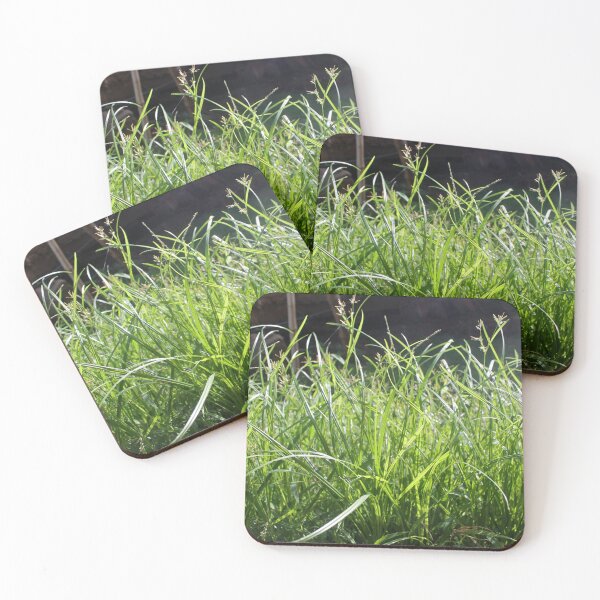 Item preview, Grass designed and sold by FascinoStudios.