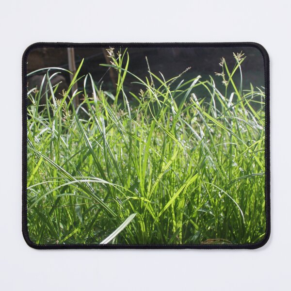 Item preview, Grass designed and sold by FascinoStudios.