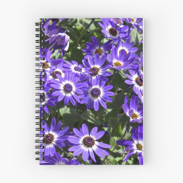 Item preview, Purple Cineraria designed and sold by okomedesign.