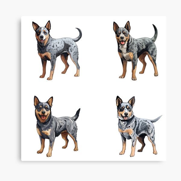 Item preview, Australian Cattle Dogs designed and sold by TheAnimalZ00.