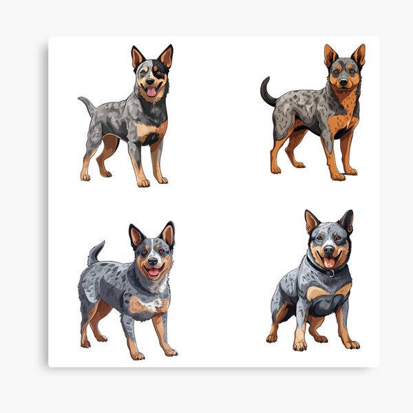 Item preview, Cute Australian Cattle Dogs designed and sold by TheAnimalZ00.