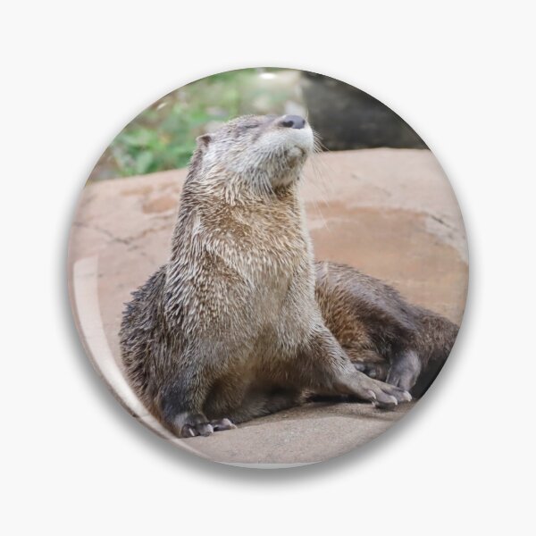 Item preview, Living life on the sunny side of the river bank, otterly fabulous designed and sold by BirdsBugsBeyond.