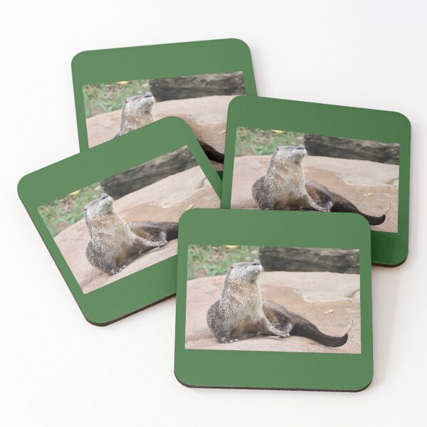 Item preview, Living life on the sunny side of the river bank, otterly fabulous designed and sold by BirdsBugsBeyond.