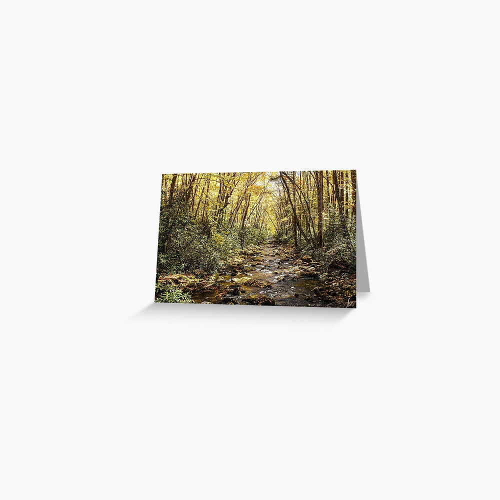 Item preview, Greeting Card designed and sold by tkdgirlms.