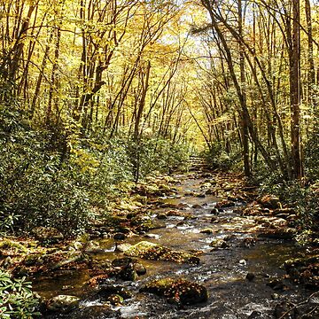 Artwork thumbnail, Fall on the river by tkdgirlms