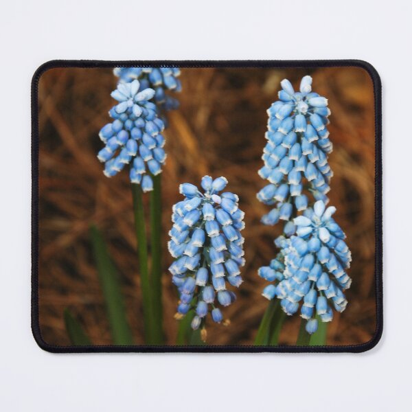 Item preview, Blue Spring designed and sold by okomedesign.