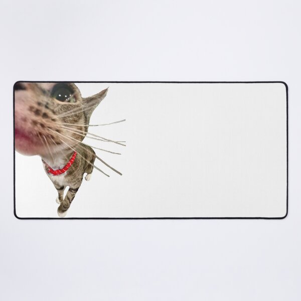 Item preview, Curious Kitty designed and sold by scz1111.