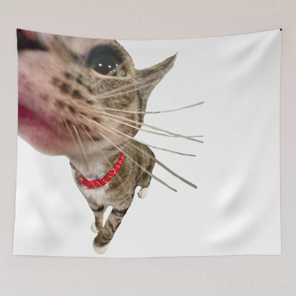 Item preview, Curious Kitty designed and sold by scz1111.