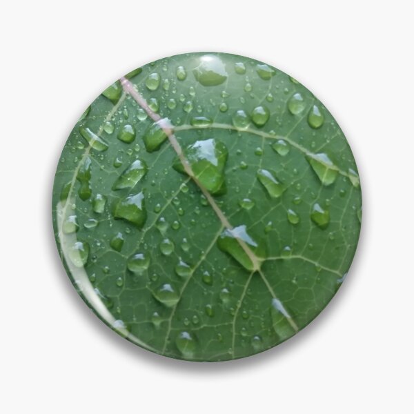 Item preview, Wet Aspen Leaf designed and sold by Tree45.