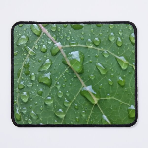 Item preview, Wet Aspen Leaf designed and sold by Tree45.