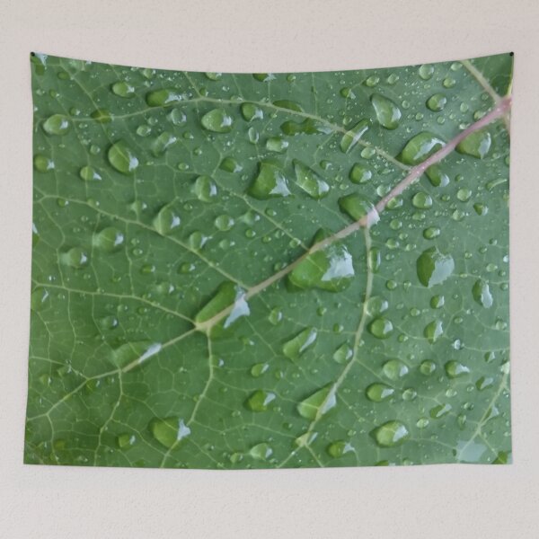 Item preview, Wet Aspen Leaf designed and sold by Tree45.
