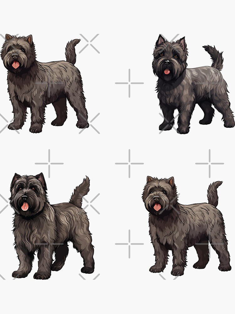 Cute Bouvier Des Flandres Dogs