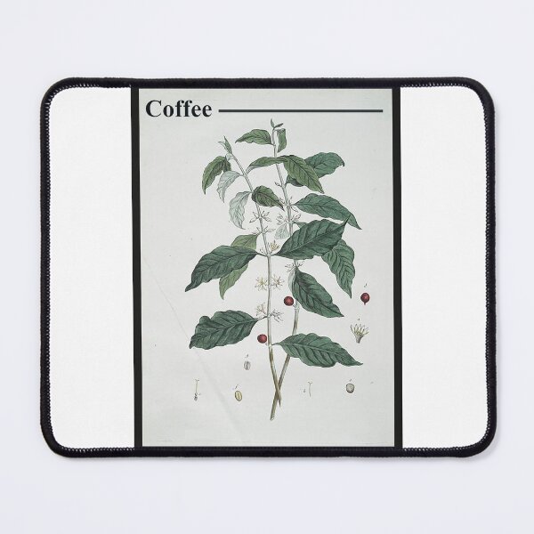 Item preview, Coffee Plant Poster designed and sold by Ghastbriel.