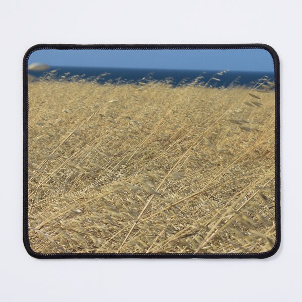 Item preview, Waves of Grain on Santa Rosa Island designed and sold by Alissa Goldberg.