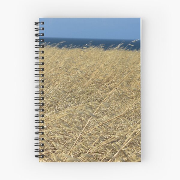Item preview, Waves of Grain on Santa Rosa Island designed and sold by Alissa Goldberg.