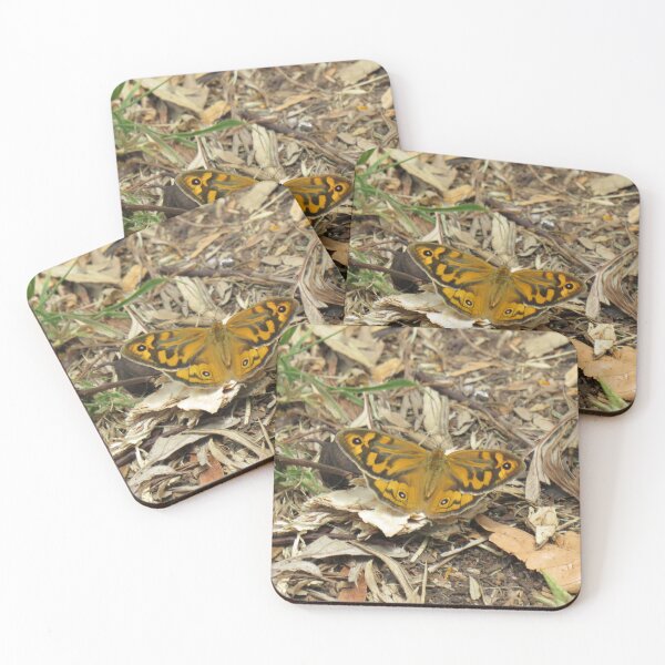 Item preview, A male common brown butterfly in the leaf litter designed and sold by greentiger1.