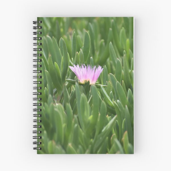 Item preview, Flor en medio de la planta de hielo designed and sold by Alissa Goldberg.