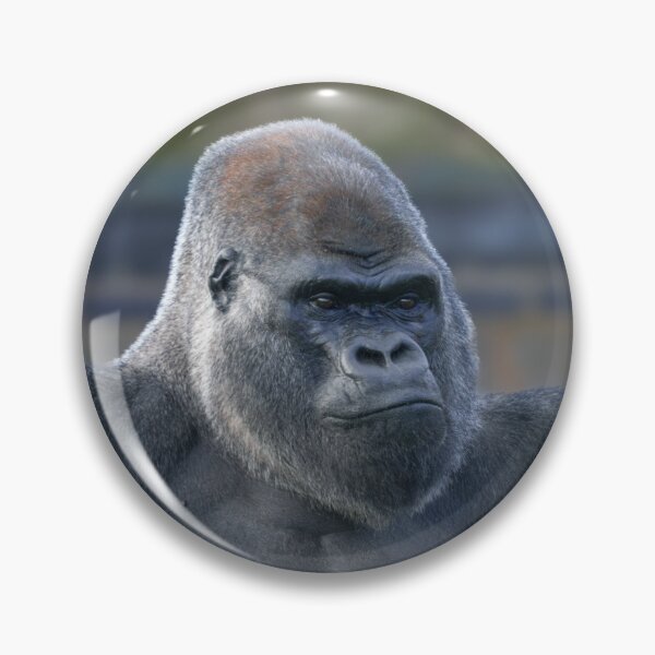 Item preview, Iconic Silverback Oumbi designed and sold by rawshutterbug.