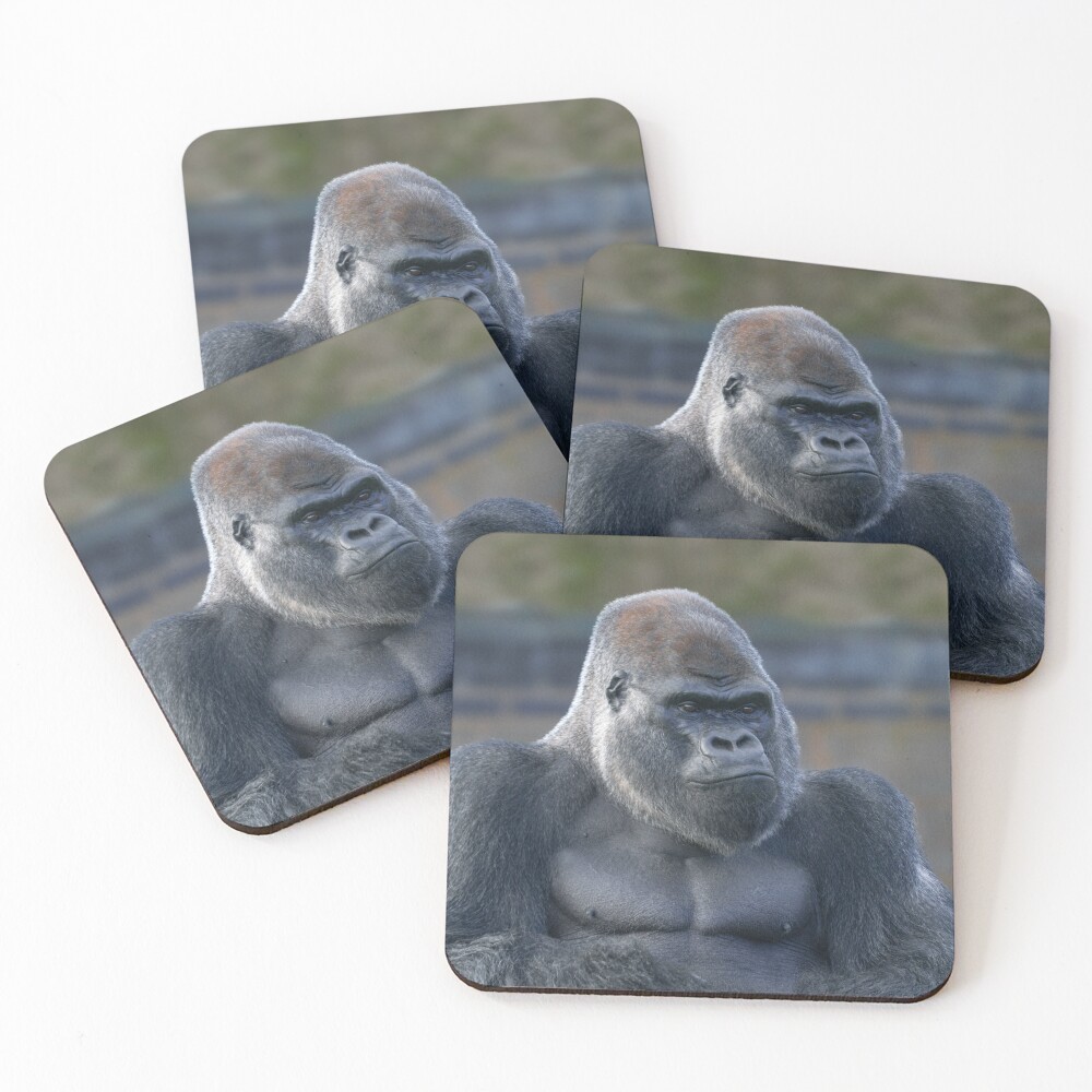Item preview, Coasters (Set of 4) designed and sold by rawshutterbug.